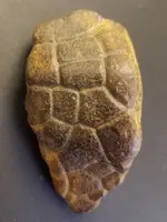 20180627_162749.webp