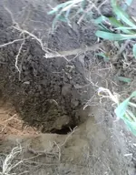 thehole.webp