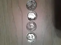 4dimes.webp