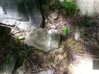 20180617_121920.webp 20180617_121920.webp