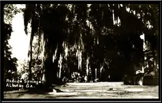 Radium Springs #3.webp