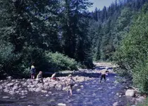 Teanaway 1.webp