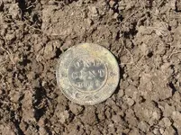 1859largecentindirtback.webp