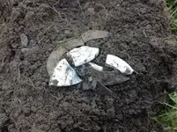 brokenmasonjarlid.webp