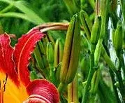 DSCN1930.webp