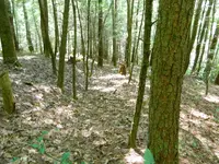 DSCN9488.webp