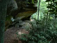 DSCN9491.webp