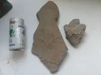 20180705_110415.webp