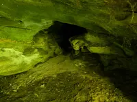 DSCN9493.webp