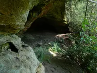 DSCN9494.webp