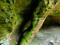 DSCN9496.webp