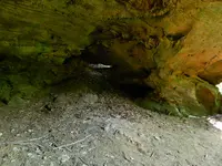 DSCN9497.webp