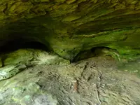 DSCN9498.webp