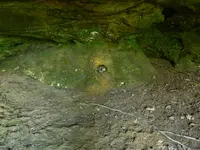 DSCN9499.webp