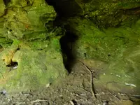 DSCN9500.webp