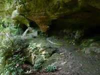DSCN9501.webp