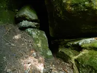 DSCN9502.webp