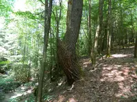 DSCN9483.webp