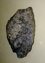 IMAG6981_1.webp