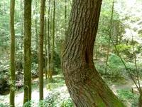 DSCN9484.webp