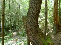 DSCN9485.webp