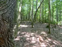 DSCN9486.webp