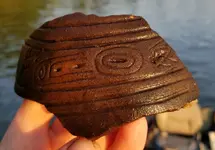 Sherd wet 3.webp