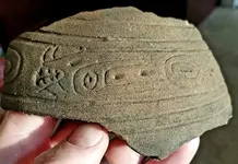 Sherd dry 1.webp
