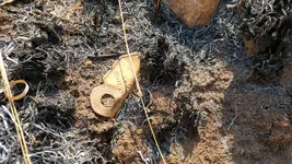20180805_124514.webp