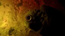 tung_ring2.webp tung_ring2.webp