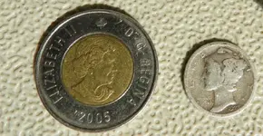 coins1.webp