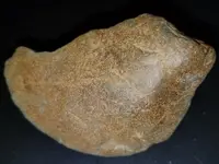 Rock 1.webp
