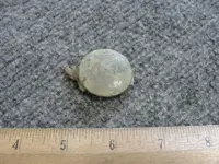 DSC08240.webp