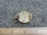 DSC08241.webp
