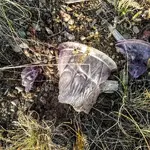 IMG_20180804_215621_508.webp