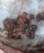 20180804_083053~2-1.webp
