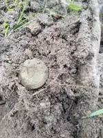 20180709_183607.webp