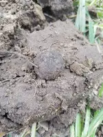 20180721_144815.webp