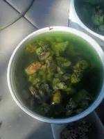20180804_083430~2.webp