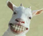 bigsmile.webp