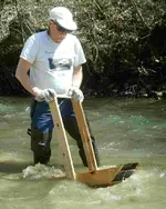 River Rocker2.webp