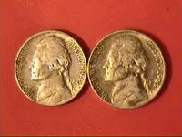 April25-2008warnickels.webp