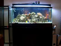 tank00.webp