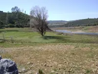 Riv938.webp