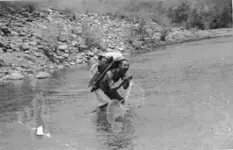 Partner after two days without water ©@.webp