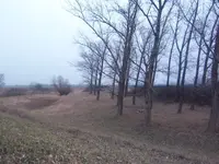 100_4877.webp
