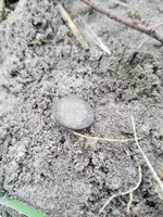 20180709_192402.webp