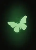 untitled moth.webp