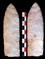Wadlow Blade.webp