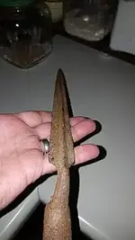 bayonet pic.webp
